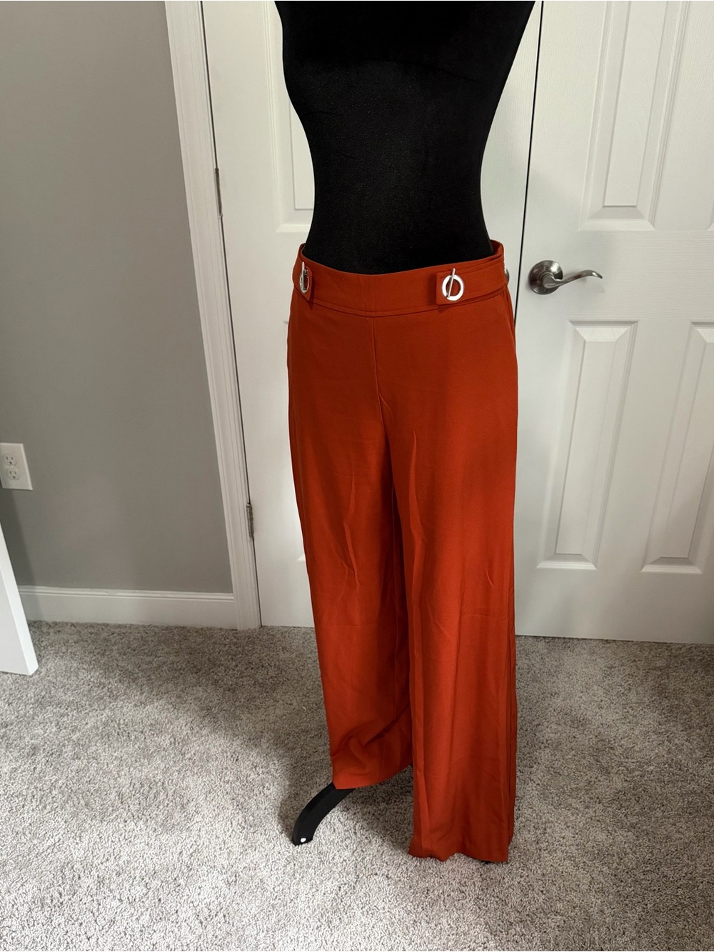 High-Rise Wide-Leg Pants in Rust with Decorative Rings